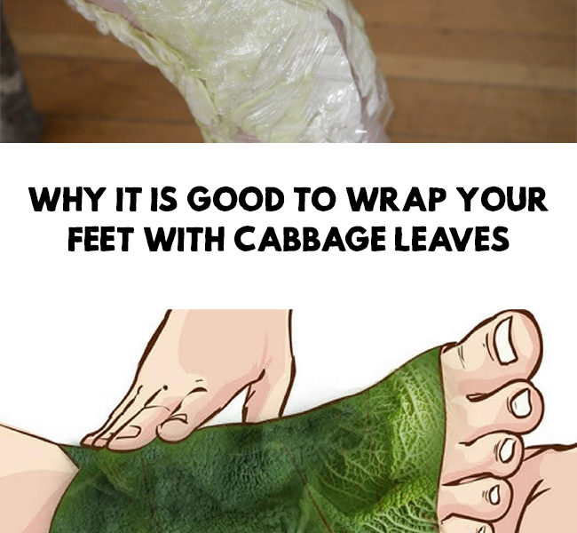 Why it’s good to wrap your feet with cabbage leaves – My WordPress Website