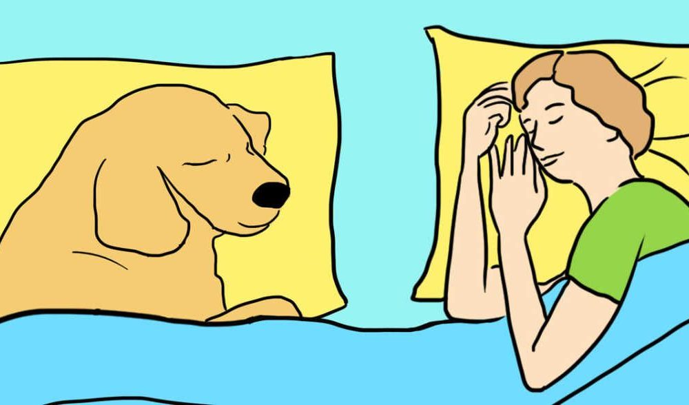 7-surprising-reasons-to-invite-the-dog-to-sleep-in-the-bed-every-single